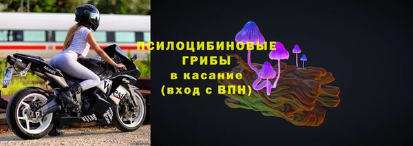амф Каменка