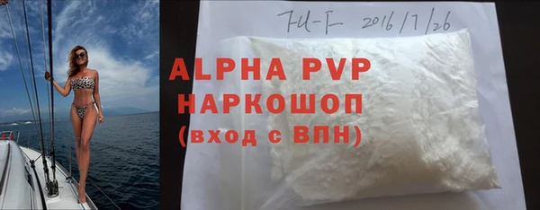 амф Каменка
