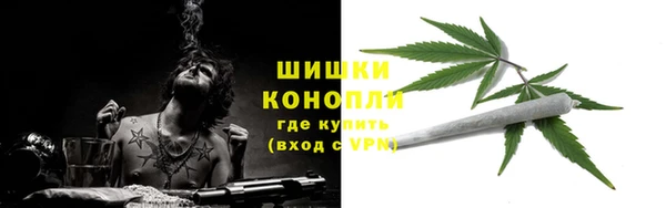 амф Каменка