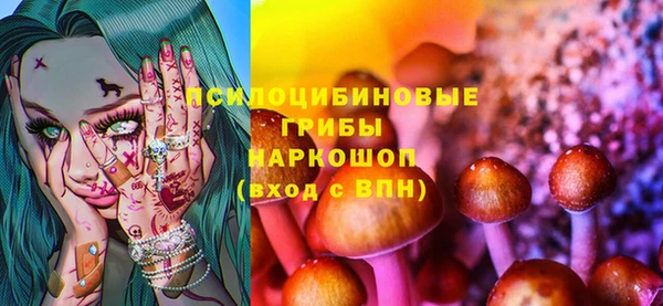 круглые Каменногорск