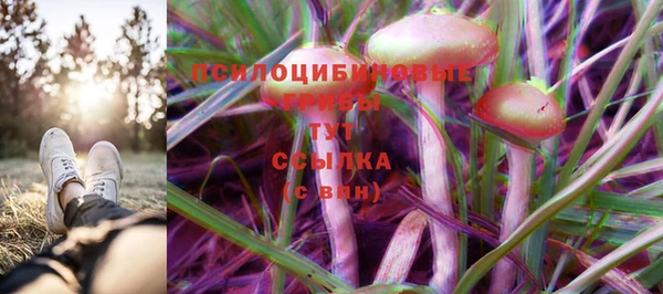 амф Каменка