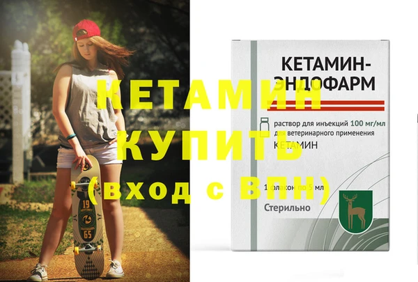 амф Каменка