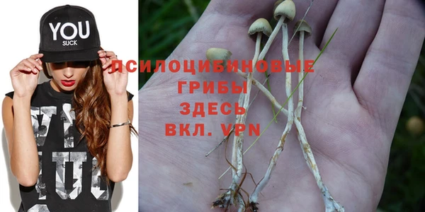 круглые Каменногорск