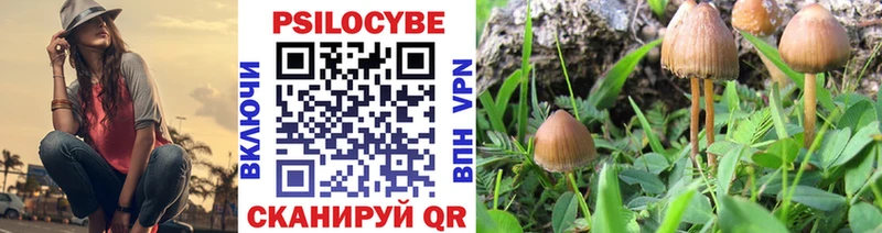 Купить где  Кириши  Галлюциногенные грибы Cubensis 